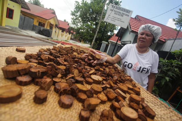 Pekerja menjemur tanaman herbal akar bajakah di rumahnya di Jalan Bengaris, Palangkaraya, Kalimantan Tengah, Jumat (17/4/2020). Menurut data Badan Pusat Statistik (BPS) komoditas tanaman obat, herbal dan rempah-rempah meningkatkan nilai ekspor 14,09 milia