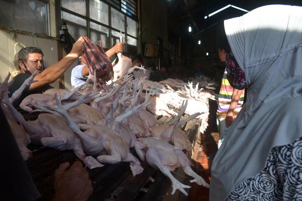 Inflasi Juni 0,18, Dipicu Kenaikan Harga Daging Ayam Ras di 86 Kota.