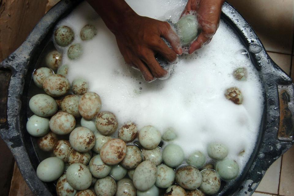 Ilustrasi cara membuat telur asin yang enak yang dilakukan oleh pekerja dengan membersihkan telur asin di industri rumahan Desa Gandasuli, Brebes, Jawa Tengah, Rabu (6/5/2020). Menurut sejumlah pemilik pengolahan telur asin selama Ramadhan hingga diperkir