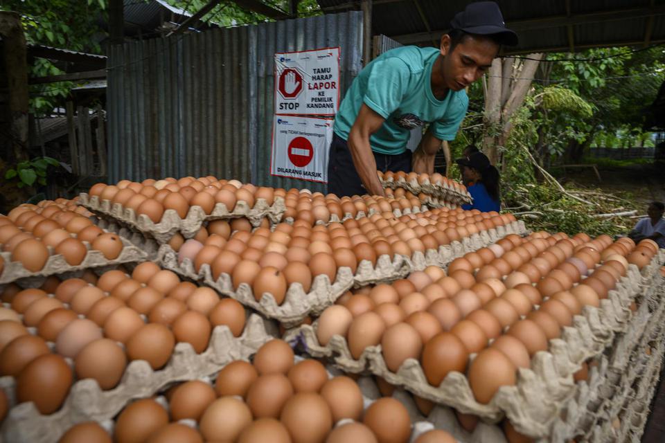 inflasi, telur ayam, rokok, kenaikan harga, bank indonesia