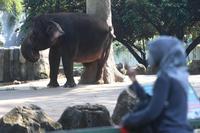 PEMBUKAAN WISATA IBU KOTA