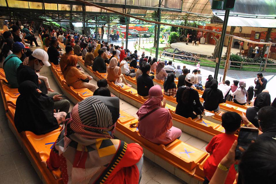 taman safari,
