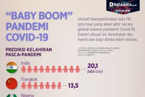 Baby boom pandemi covid