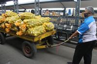 PENGIRIMAN BARANG MENINGKAT