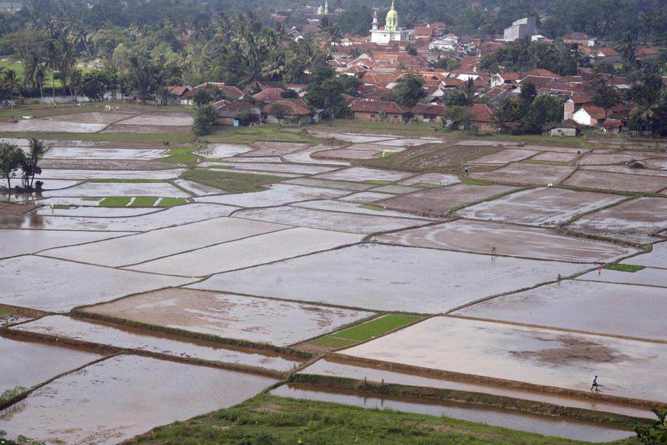 Ilustrasi, aktivitas pertanian. Pengamat pertanian menilai ketahanan pangan Indonesia tergolong buruk, karena masih terlalu mengandalkan impor.