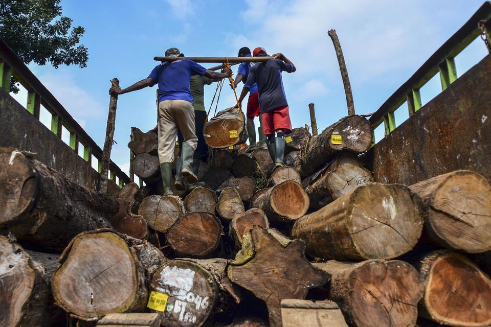 Pekerja mengangkut kayu gelondongan di Tempat Penimbunan Kayu (TPK) Banjar Perum Perhutani Kesatuan Pemangkuan Hutan (KPH) Ciamis, Kota Banjar, Jawa Barat, Senin (13/7/2020). Kementerian Lingkungan Hidup dan Kehutanan (KLHK) telah menyiapkan sejumlah ter