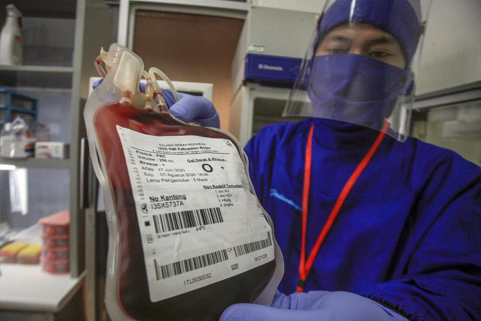 Petugas Palang Merah Indonesia (PMI) menunjukkan kantong darah yang siap didistribusikan di PMI Kabupaten Bogor, Jawa Barat, Rabu (15/7/2020). Pasokan darah di Bogor mengalami penurunan hingga 50 persen dari stok normal 3.000 kantong darah per bulan selam