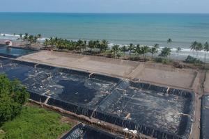 PEMBUKAAN TAMBAK UDANG DI LAHAN MANGROVE