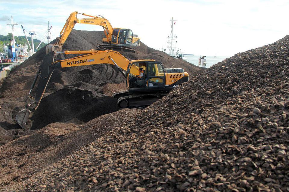 ekspor biomassa, jepang, kemendag, cangkang sawit