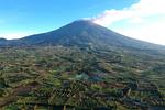 LAJU DEFORESTASI HUTAN DAN LAHAN