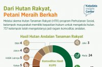 Dari Hutan Rakyat, Petani Meraih Berkah
