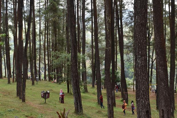 Wisatawan menikmati suasana kawasan hutan pinus Nongko Ijo di lereng Gunung Wilis, Kare, Kabupaten Madiun, Jawa Timur, Minggu (4/10/2020). 