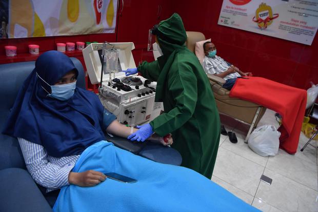 Petugas PMI Kota Surabaya melayani pengambilan plasma konvalesen dari pendonor penyintas COVID-19 di Unit Tranfusi Darah PMI Surabaya, Jawa Timur, Selasa (26/1/2021). Animo pendonor plasma konvalesen di Kota Surabaya terus meningkat namun demikian PMI ha