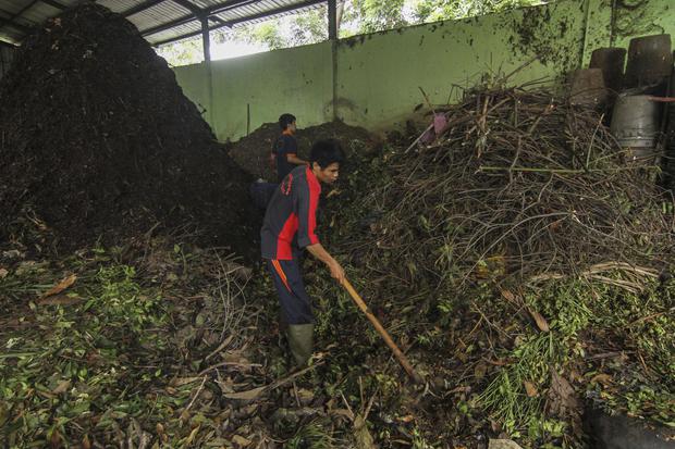Petugas mengolah sampah organik di Unit Pengolahan Sampah (UPS) Merdeka 2, Depok, Jawa Barat, Kamis (28/1/2021). Dinas Lingkungan Hidup dan Kebersihan (DLHK) Kota Depok setiap hari mengolah 2 ton sampai 3 ton sampah rumah tangga tersebut menjadi pupuk or