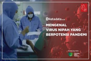 Mengenal Virus Nipah yang Berpotensi Pandemi 