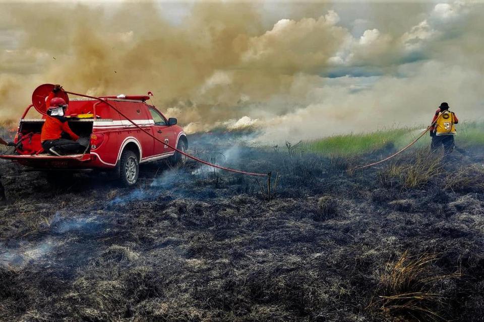 Personel Manggala Aqni Daerah Operasi Sulawesi Tenggara berusaha memadamkan api yang membakar lahan di Taman Nasional Rawa Aopa Watumohai, Kabupaten Bombana, Sulawesi Tenggara, Minggu (31/1/2021). Kawasan ekosistem savana Taman Nasional Rawa Aopa Watumoha