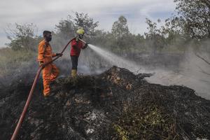 KEBAKARAN LAHAN DI BATAM