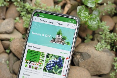 Tokopedia Ungkap Bisnis Potensial Bagi Umkm Saat Pandemi Corona E Commerce Katadata Co Id