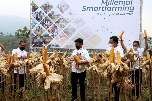 program Millennial Smartfarming