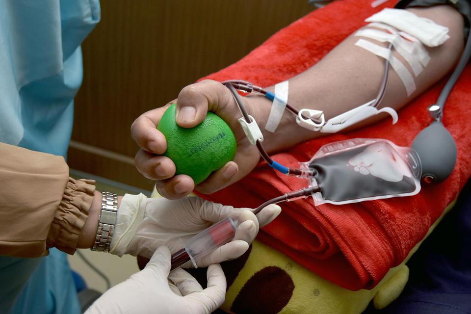 Petugas kesehatan mengambil sampel darah penyintas COVID-19 saat proses donor plasma darah konvalesen di Unit Tranfusi Darah Palang Merah Indonesia (PMI) Kota Pekanbaru, Riau, Rabu (24/3/2021). Rumah sakit rujukan COVID-19 di Kota Pekanbaru menyatakan mas