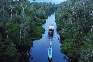 WISATA SUSUR SUNGAI TAMAN NASIONAL TANJUNG PUTING