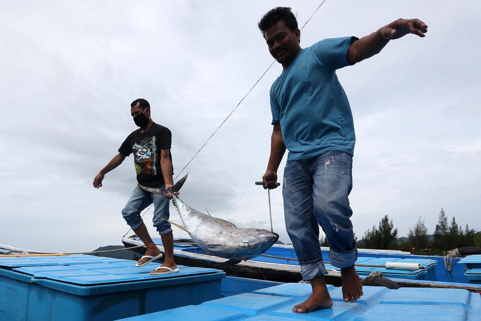 Nelayan membawa ikan tuna kualitas ekspor hasil tangkapan di Tempat Pelabuhan Ikan (TPI) Ulee Lheu, Banda Aceh, Aceh, Kamis (1/4/2021). Badan Riset dan Sumber Daya Manusia (BRSDM) Kementerian Kelautan dan Perikanan (KKP) menyebutkan dari perikanan tangka