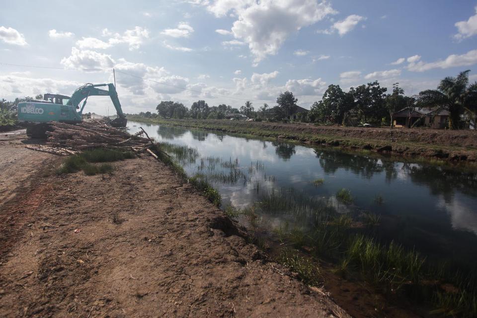 food estate merauke,