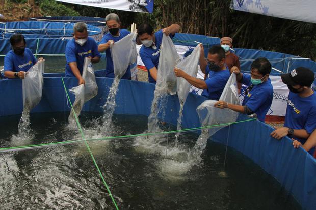 Fintech Crowdo Gaet eFishery untuk Beri Pinjaman ke Pembudi Daya Ikan