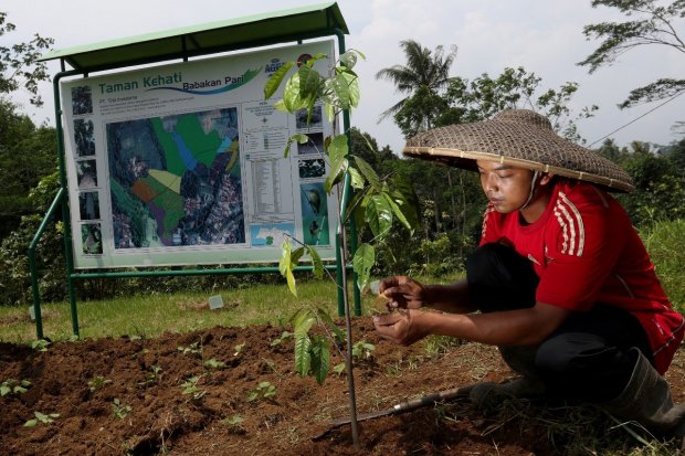 Upaya Danone Indonesia melindungi sumber air melalui konservasi (kredit: Danone Indonesia).