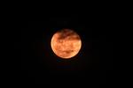 FENOMENA SUPER PINK MOON