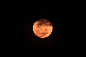 FENOMENA SUPER PINK MOON