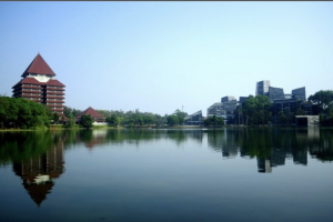Universitas Indonesia