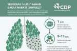 Infografik_Seberapa 'Hijau' Bahan Bakar Nabati (Biofuel)?