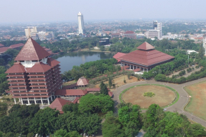 Universitas Indonesia