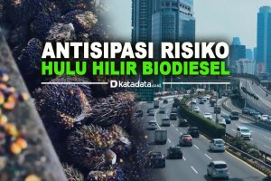 Anitipasi Risiko Hulu Hilir Biodiesel