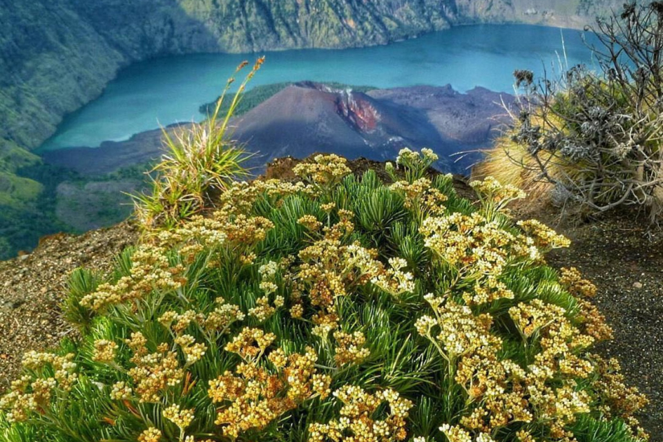 Gunung rinjani