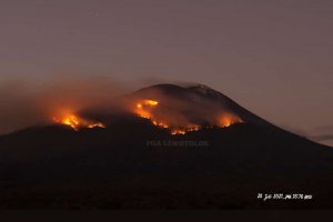 Kebakaran Lahan di Lereng Gunung Ile Lewotolok di Kabupaten Lembata, Provinsi Nusa Tenggara Timur (NTT). 