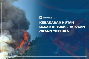 Kebakaran hutan turki