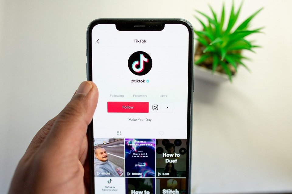 Download Video Tiktok Tanpa Watermark