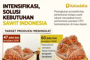Infografik_Intensifikasi, Solusi Kebutuhan Sawit Indonesia