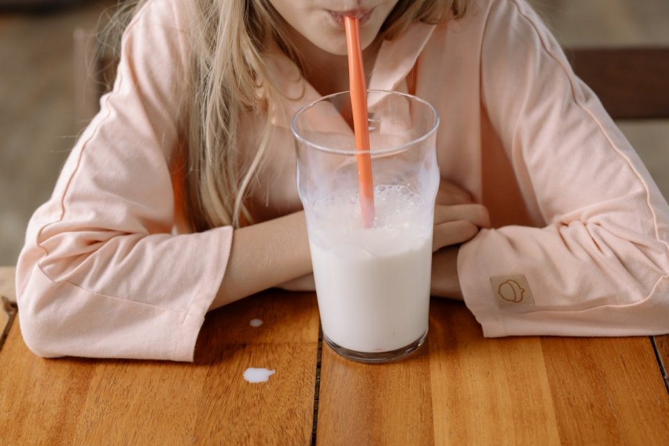 9 Manfaat Yogurt untuk Diet dan Pencernaan 