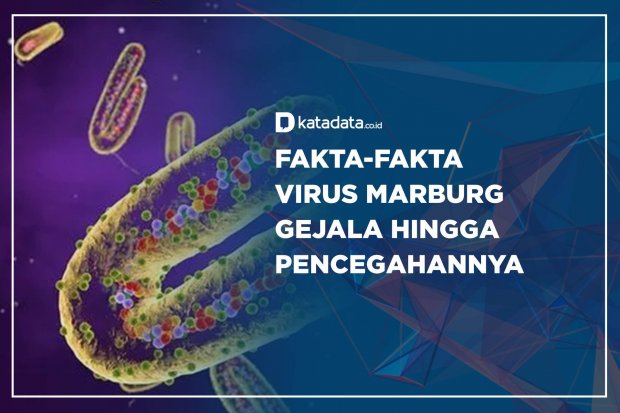 Fakta-fakta Virus Marburg, Gejala hingga Pencegahannya