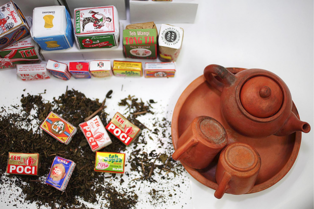 teh, teh hijau, manfaat teh hijau, teh poci, teh manis, teh botol sosro, kebun teh, teh botol, daun teh, tanaman teh, teh chamomile, perkebunan teh, teh panas, manfaat teh, teh hangat, teh gelas, teh indonesia, teh celup, kebun teh wonosari, teh hitam, te