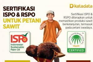 Infografik_Sertifikasi ISPO & RSPO untuk Petani Sawit