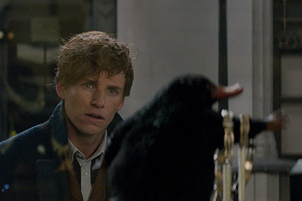 Fantastic beasts 3