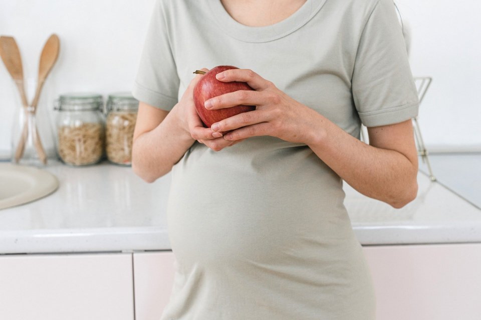 makanan sehat untuk ibu hamil