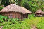 Gambar rumah adat Papua yang disebut rumah Honai.