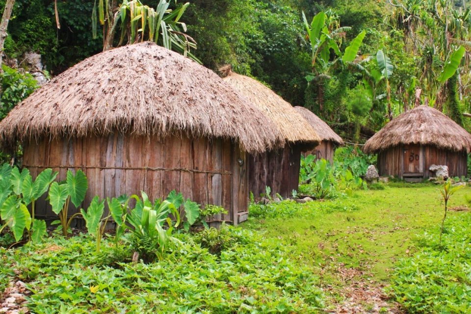Gambar rumah adat Papua yang disebut rumah Honai
