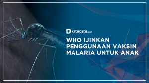 WHO Ijinkan Penggunaan Vaksin Malaria untuk Anak