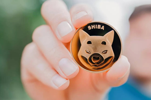 Shiba Inu Coin